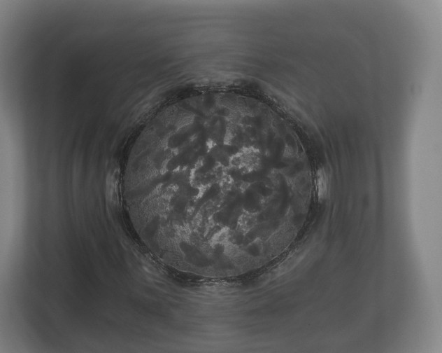 X0000113081059200909041124