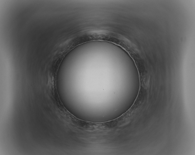 X0000113081061200909041124