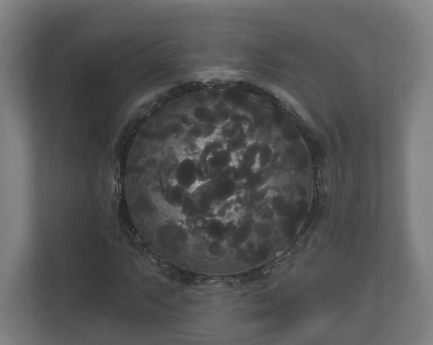 X0000113081063200909041124