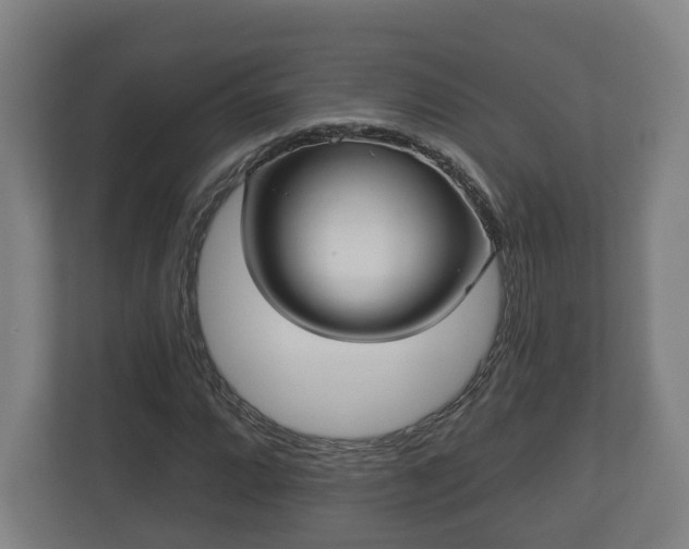 X0000113081064200909041124