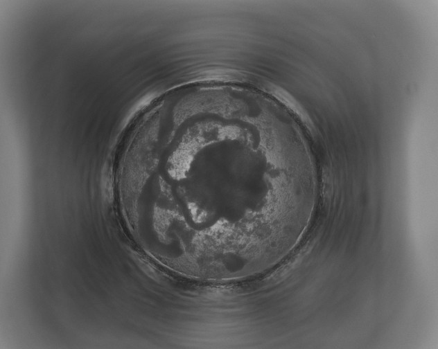 X0000113081067200909041124