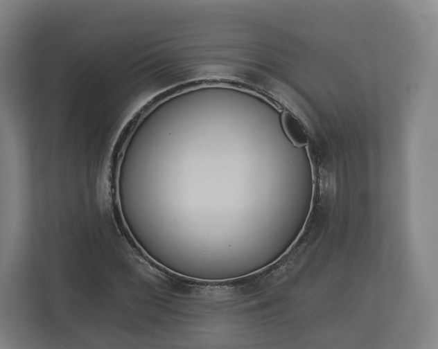 X0000113081068200909041124