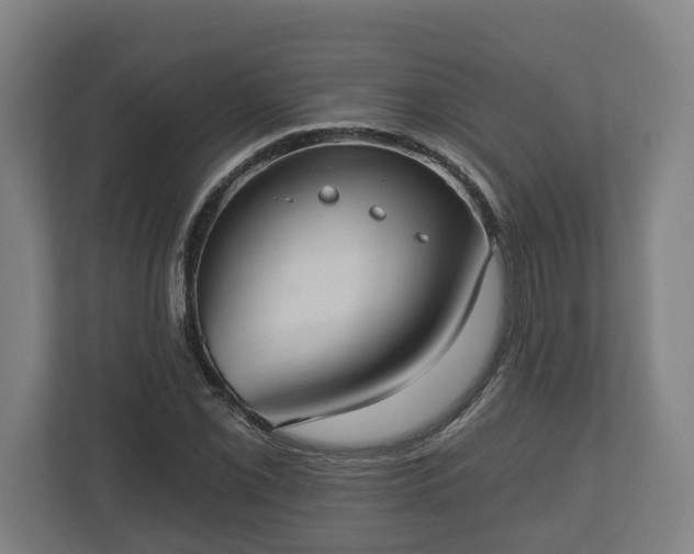 X0000113081069200909041124