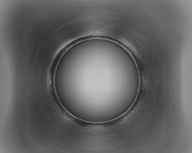 X0000113081070200909041124