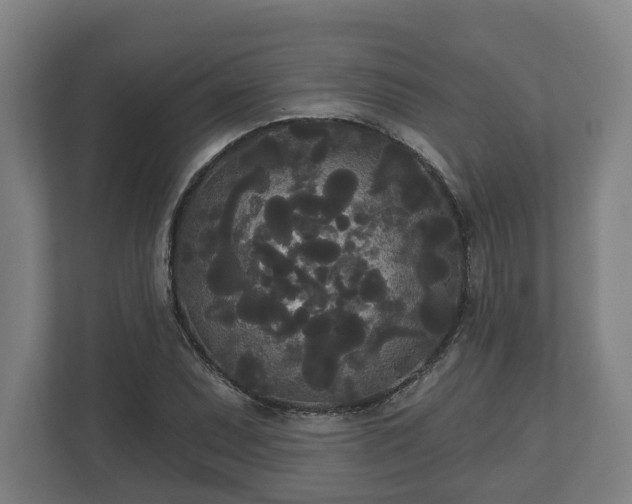 X0000113081071200909041124