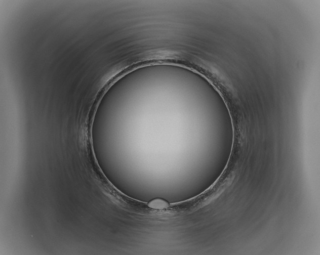 X0000113081073200909041124