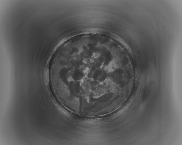 X0000113081075200909041124