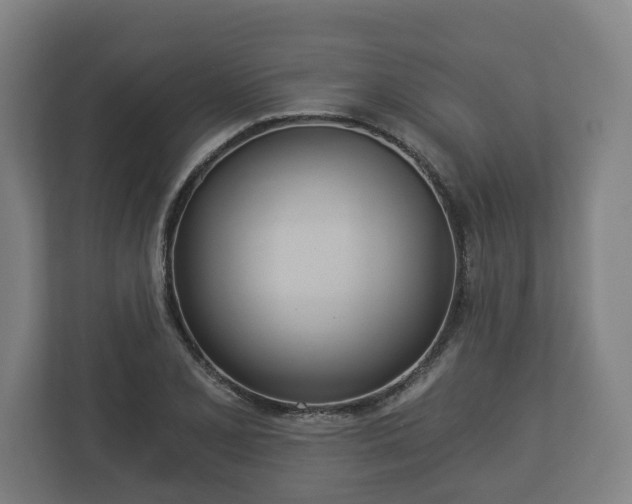 X0000113081077200909041124