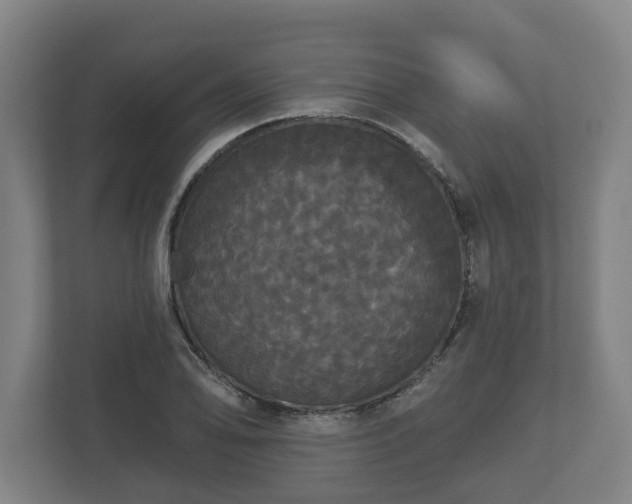 X0000113081078200909041124