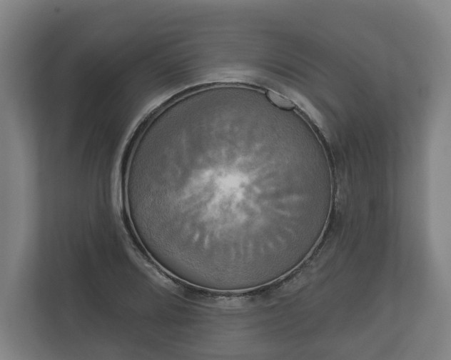 X0000113081080200909041124