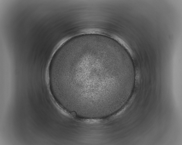 X0000113081082200909041124