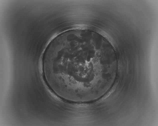 X0000113081083200909041124