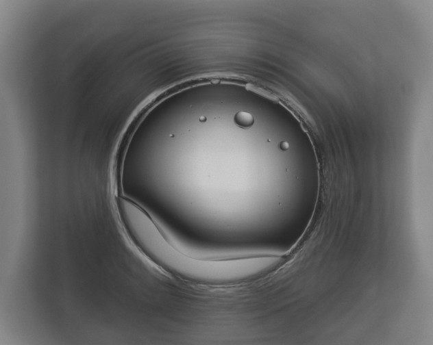 X0000113081084200909041124