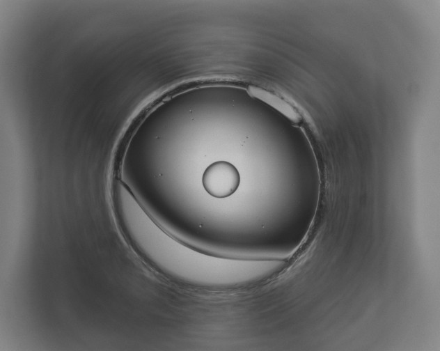 X0000113081085200909041124