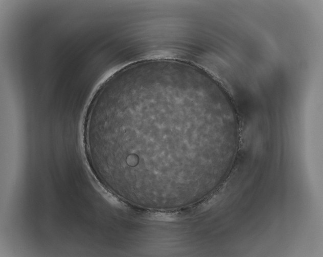 X0000113081086200909041124