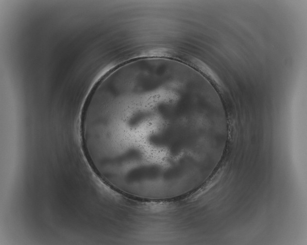 X0000113081087200909041124