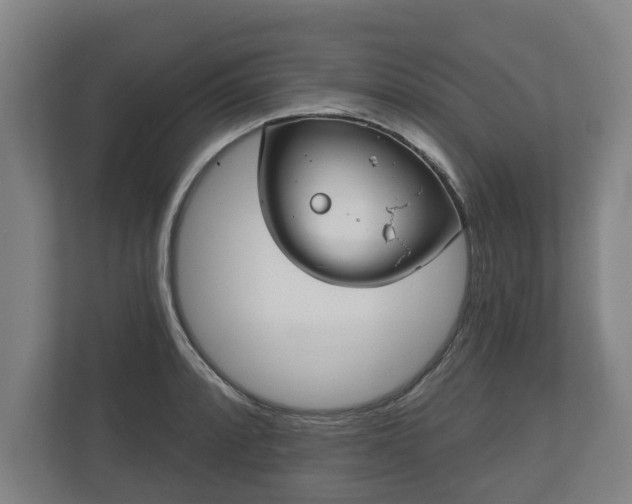 X0000113081088200909041124