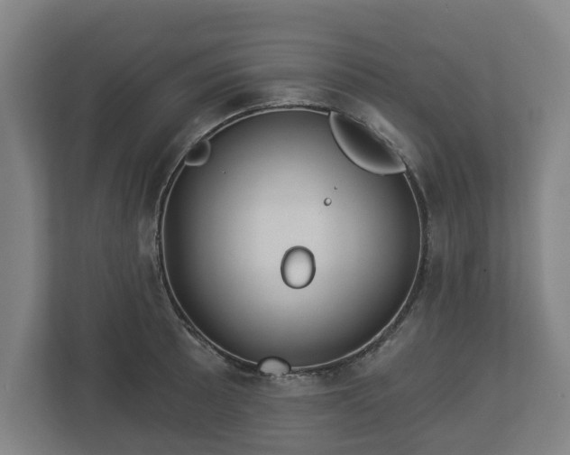 X0000113081089200909041124