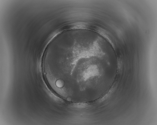 X0000113081090200909041124