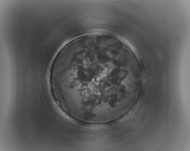 X0000113081091200909041124