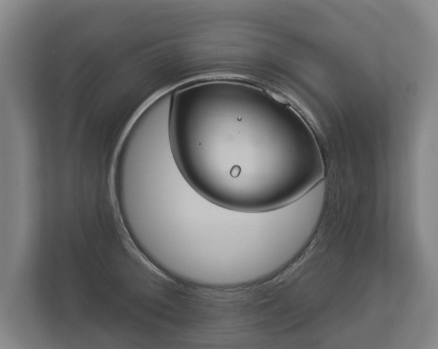 X0000113081092200909041124