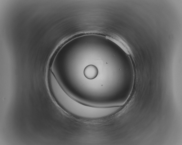 X0000113081093200909041124