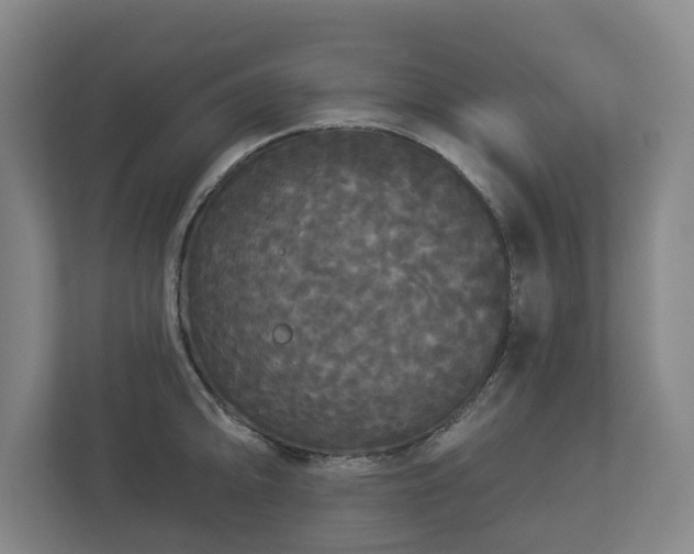 X0000113081094200909041124