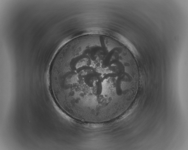 X0000113081095200909041124