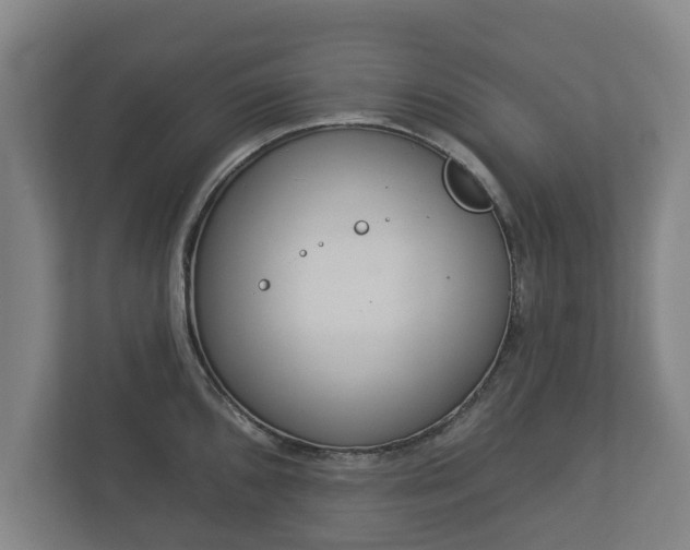 X0000113081096200909041124