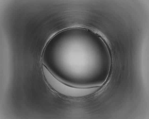 X0000113081097200909041124