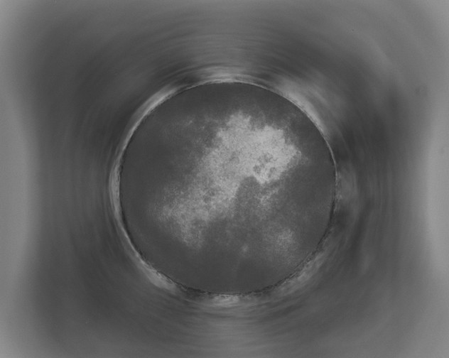 X0000113081098200909041124