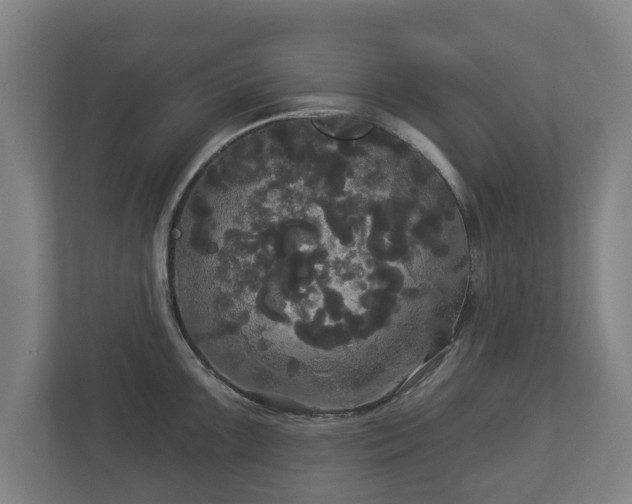 X0000113081099200909041124