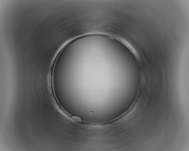 X0000113081100200909041124