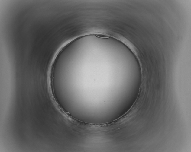 X0000113081104200909041124