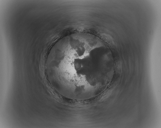 X0000113081105200909041123