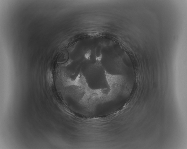 X0000113081106200909041123