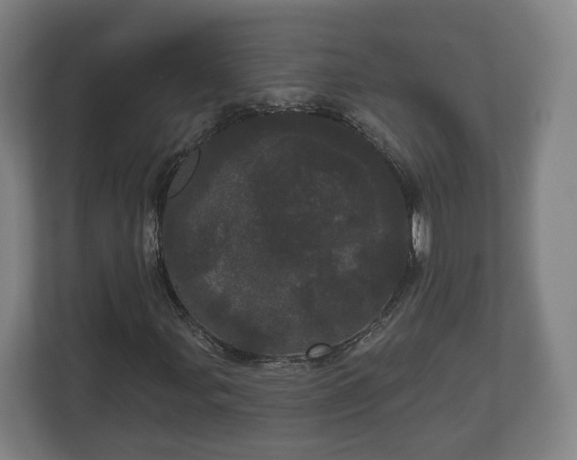 X0000113081107200909041123