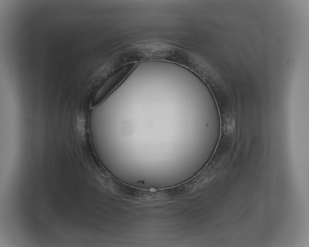 X0000113081108200909041123