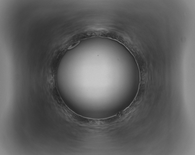 X0000113081109200909041123