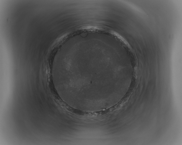 X0000113081111200909041123