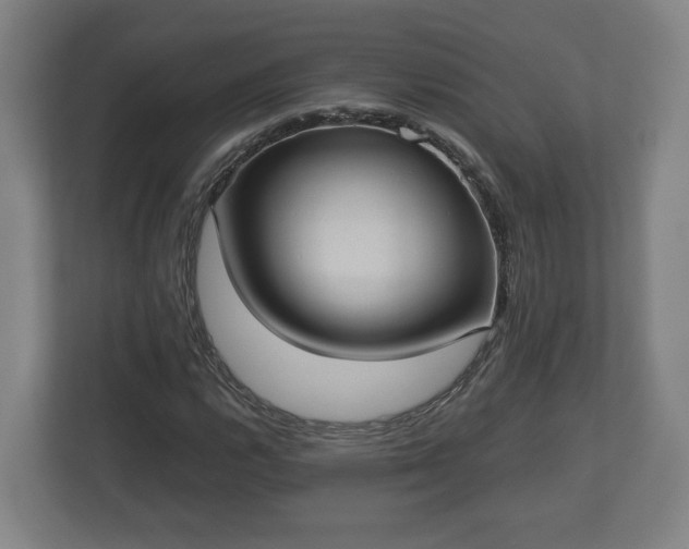 X0000113081112200909041123