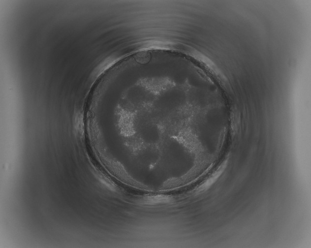 X0000113081113200909041123