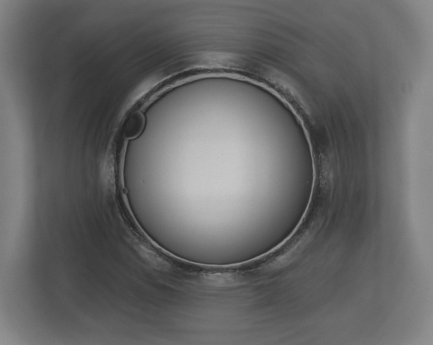 X0000113081114200909041123