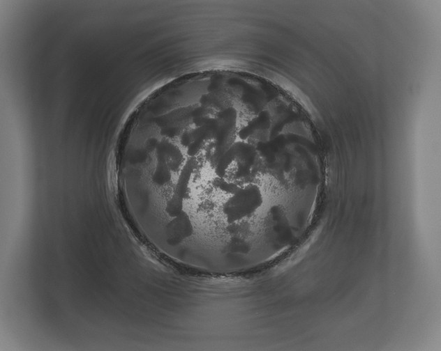 X0000113081117200909041123