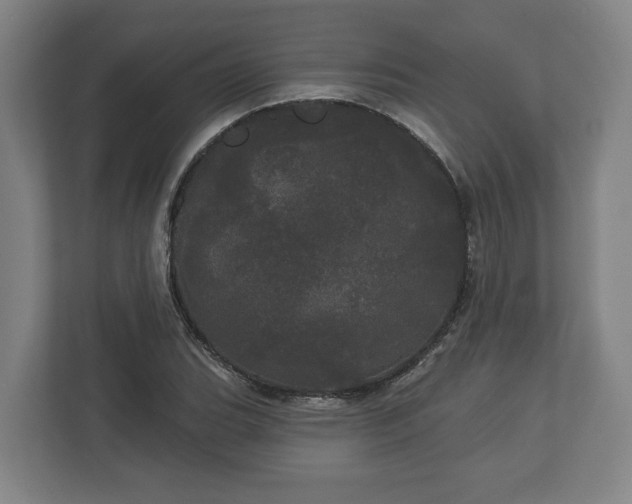 X0000113081119200909041123