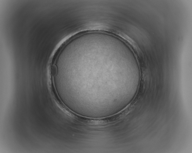 X0000113081120200909041123