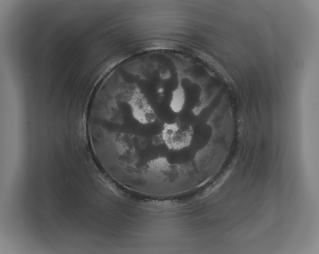 X0000113081121200909041123