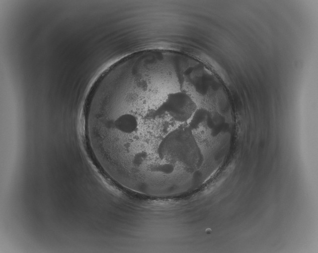 X0000113081125200909041123