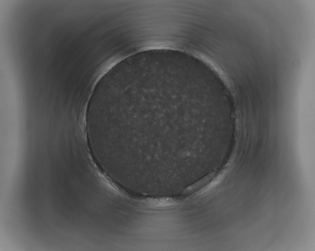 X0000113081129200909041123