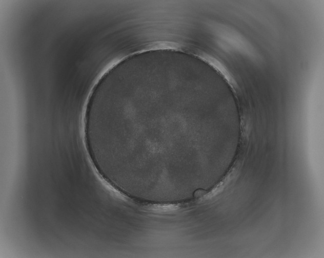 X0000113081135200909041123